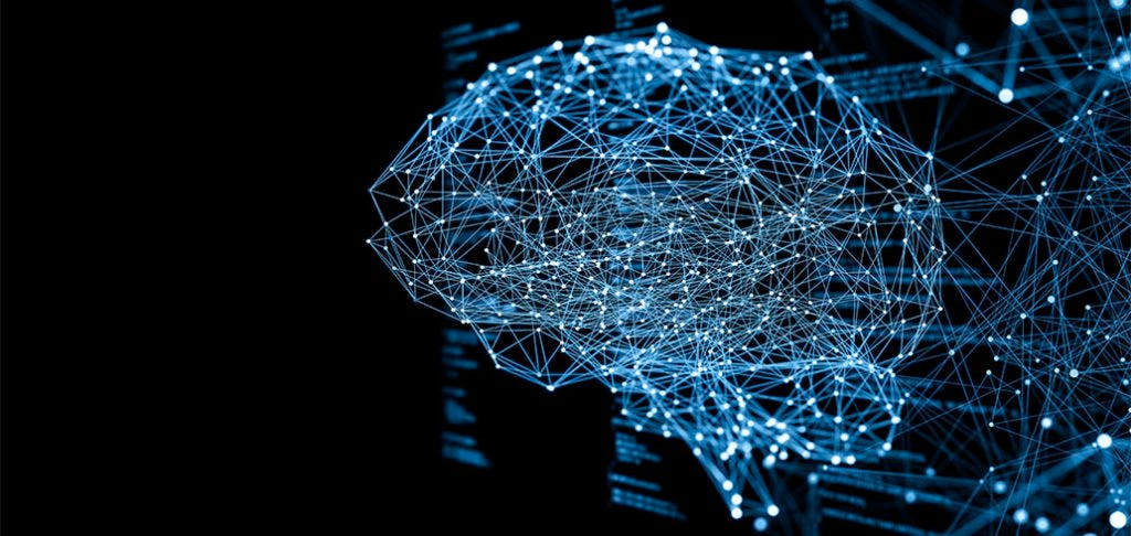 Neural Network Concept
